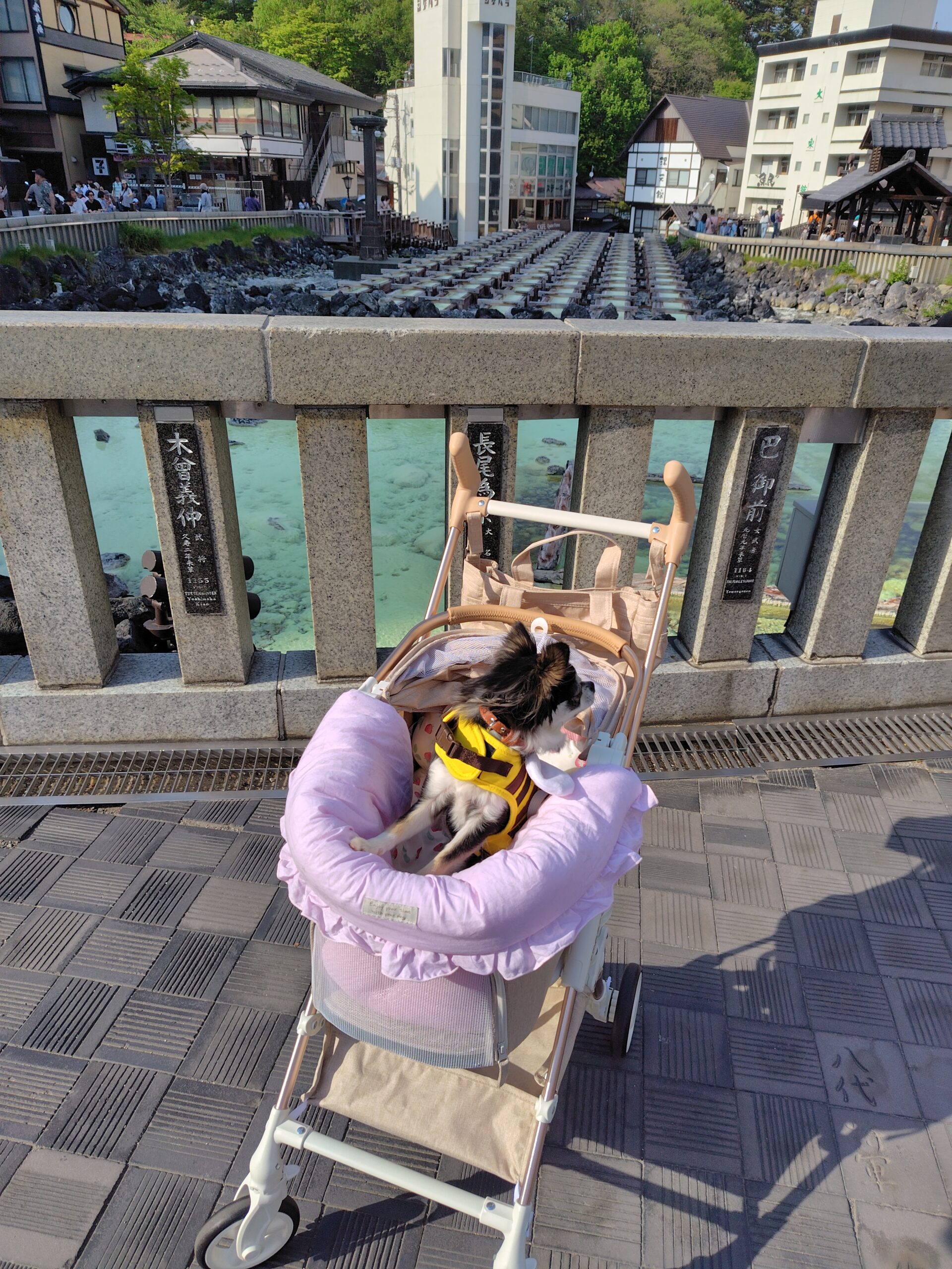 ゆず子と歩く旅路：草津温泉でのひと騒動